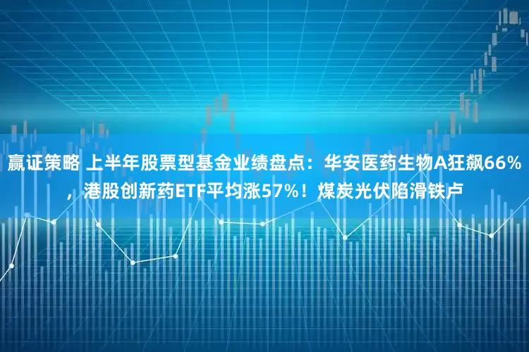 赢证策略 上半年股票型基金业绩盘点：华安医药生物A狂飙66%，港股创新药ETF平均涨57%！煤炭光伏陷滑铁卢
