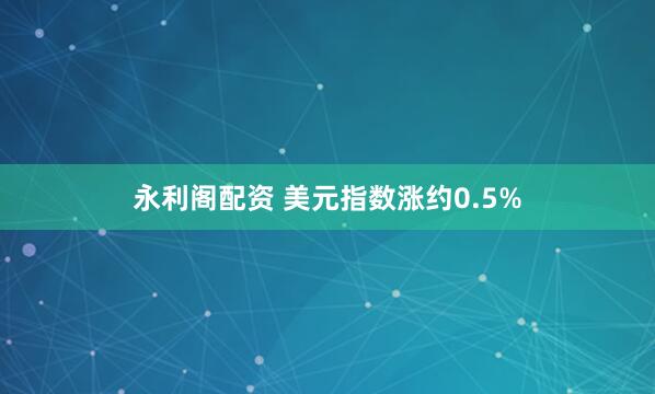 永利阁配资 美元指数涨约0.5%