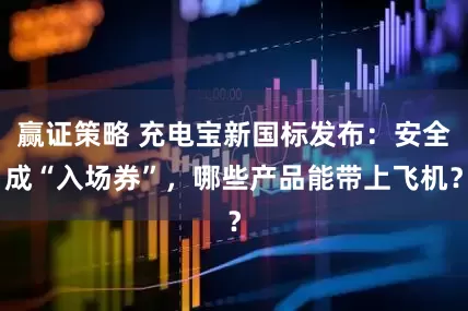 赢证策略 充电宝新国标发布：安全成“入场券”，哪些产品能带上飞机？